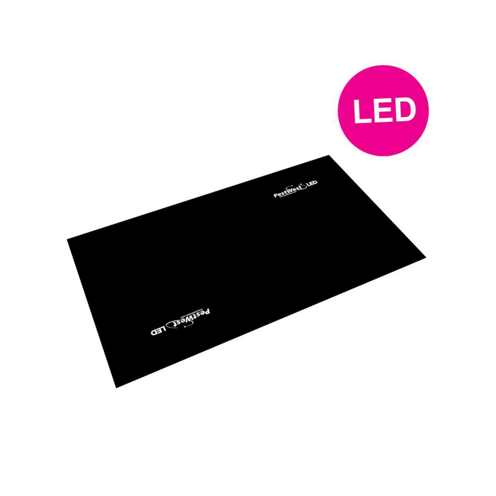 PestWest - Tabla adhesiva gama LED Chameleon | Recambio Placa Adhesiva Insectocaptor