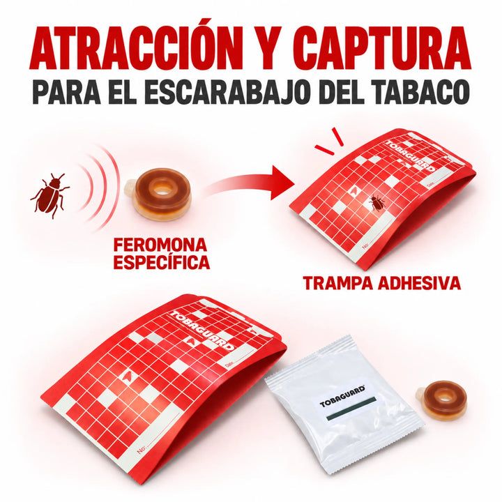 Tobaguard CB 10 uds Trampa de Feromonas para Lasioderma serricorne Escarabajo del Tabaco