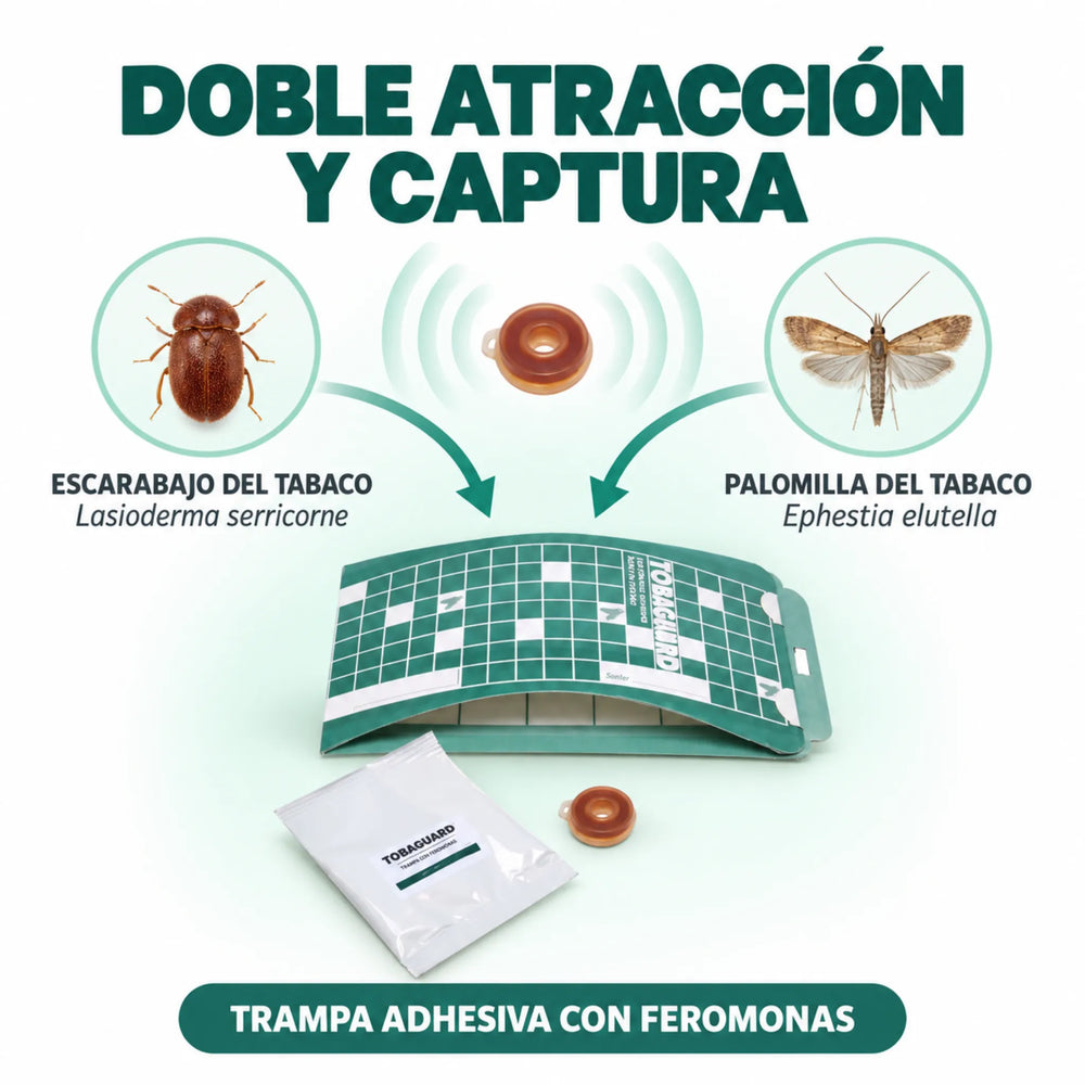 Tobaguard CB/EE 10 uds Trampa para Lasioderma serricorne y Ephestia elutella Plagas del Tabaco