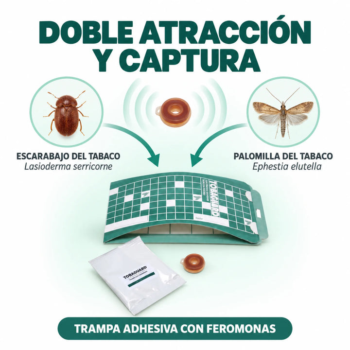 Tobaguard CB/EE 10 uds Trampa para Lasioderma serricorne y Ephestia elutella Plagas del Tabaco