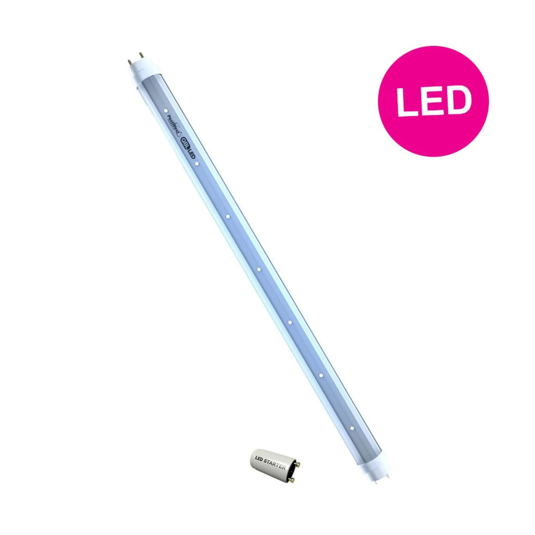 PestWest - Tubo LED QBL 7,1 W T8 45 cm UVA