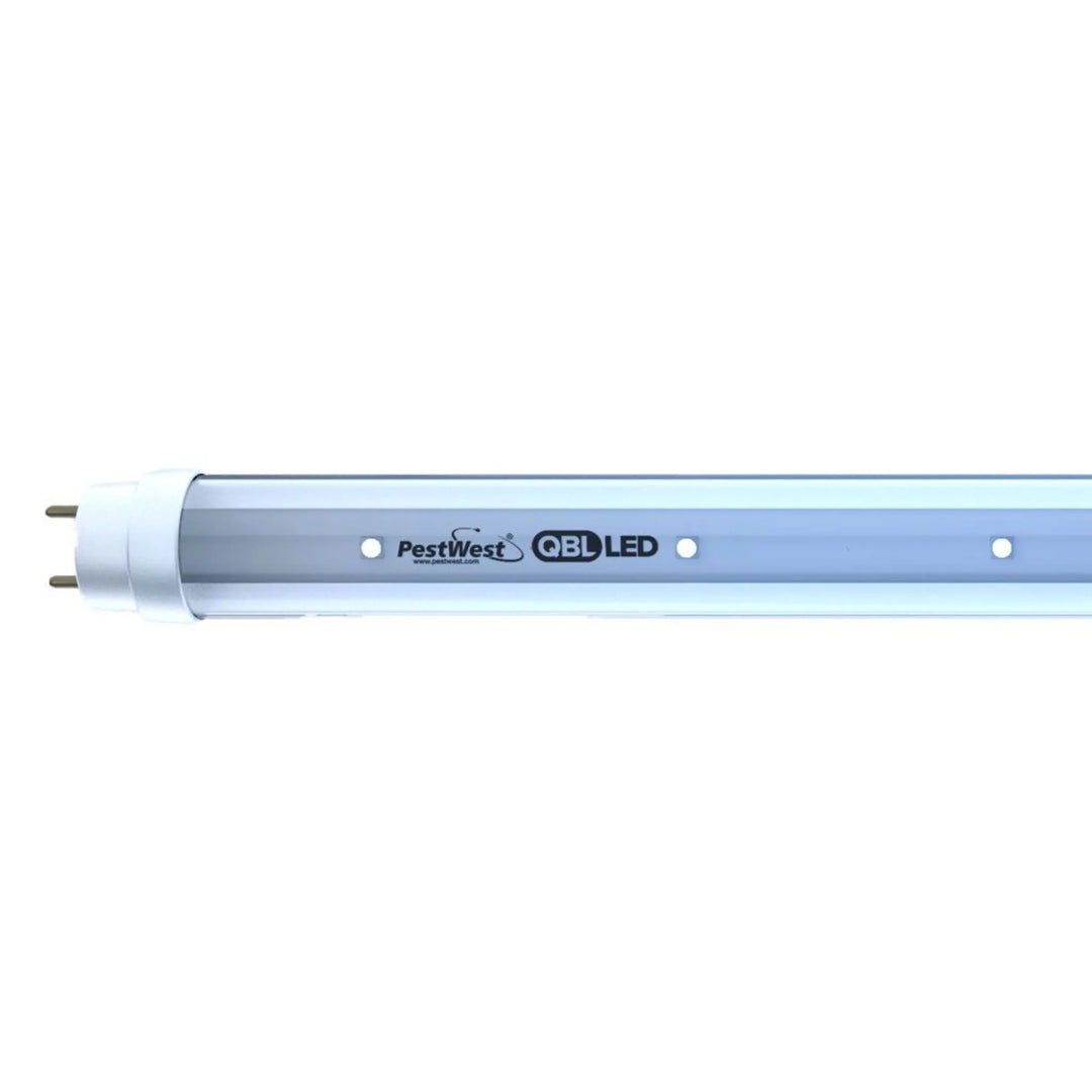 PestWest - Tubo LED QBL 7,1 W T8 45 cm UVA