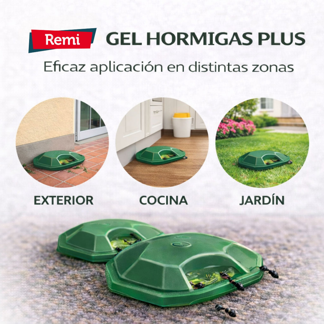 Pack 4 Trampas Gel Hormigas Plus – Control Eficaz de Hormigas Interior y Exterior