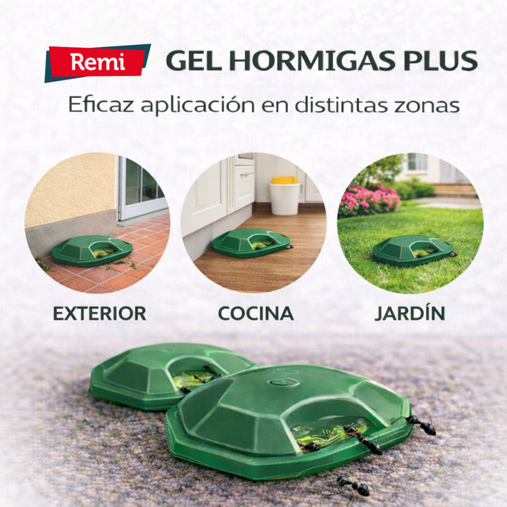 Pack 4 Trampas Gel Hormigas Plus – Control Eficaz de Hormigas Interior y Exterior