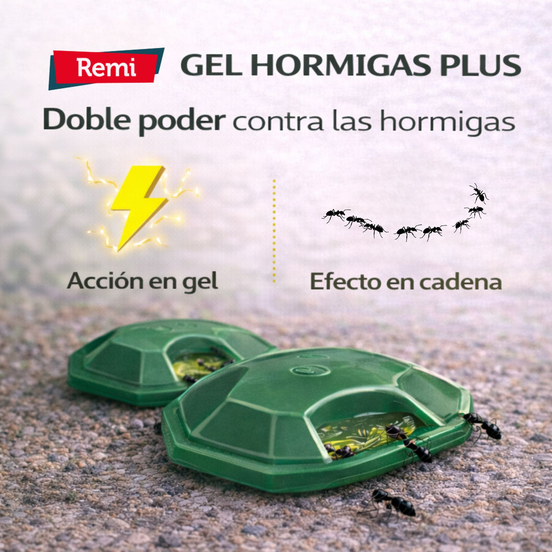 Pack 4 Trampas Gel Hormigas Plus – Control Eficaz de Hormigas Interior y Exterior