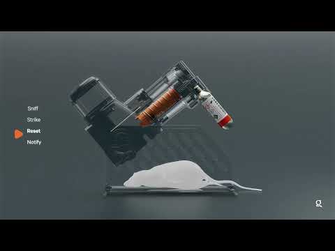 Goodnature - Kit Trampa ratas y ratones con Contador Goodnature A24