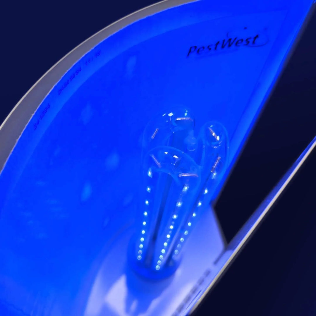 Trampa UV LED Sunburst 10W E27 discreta para hoteles y restaurantes antimoscas hasta 40 m² con diseño decorativo