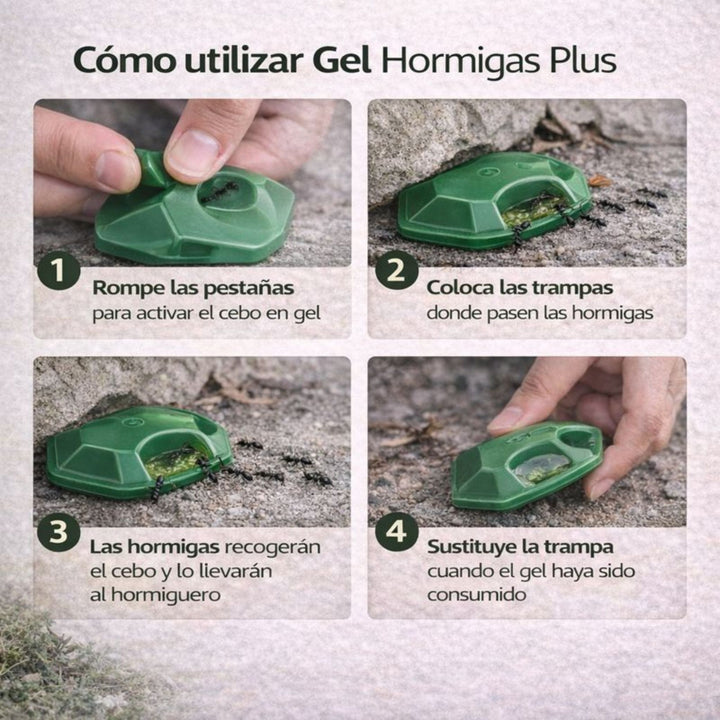 Pack 4 Trampas Gel Hormigas Plus – Control Eficaz de Hormigas Interior y Exterior