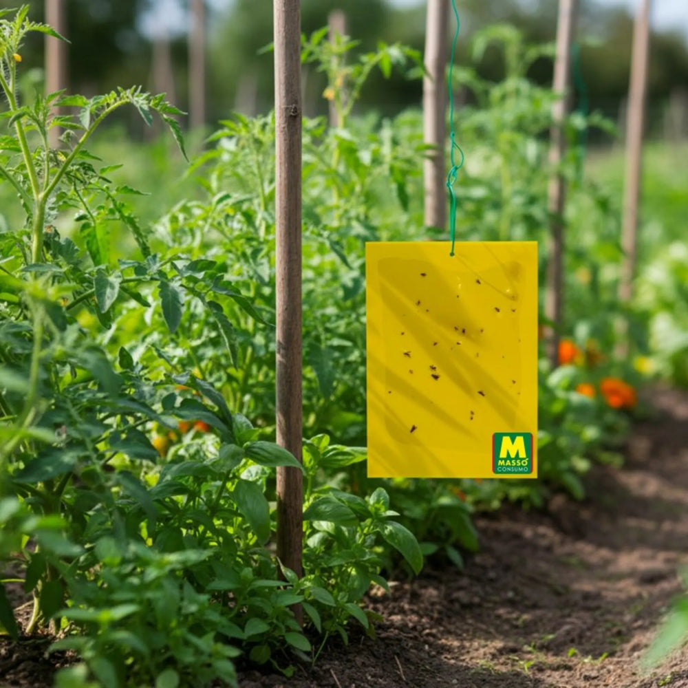 Sistema adhesivo resistente para huertos, jardines e invernaderos Preben para la captura de Mosca Blanca, Pulgones, Trips y Mosquitos