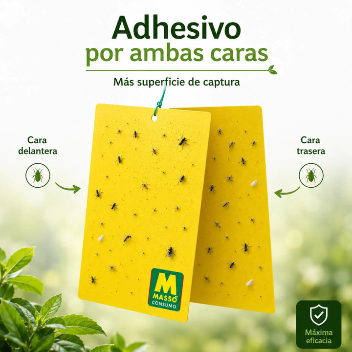 Sistema adhesivo resistente para huertos, jardines e invernaderos Preben para la captura de Mosca Blanca, Pulgones, Trips y Mosquitos