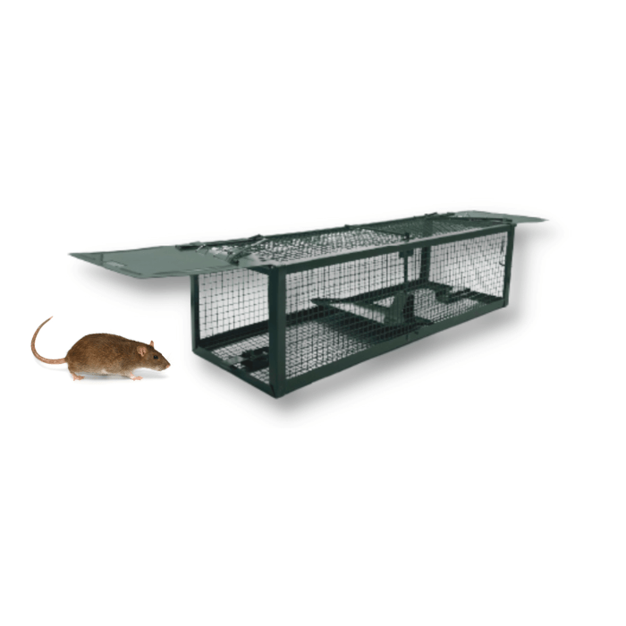 Kit de captura para el hogar A24 Trampa para ratas y ratones